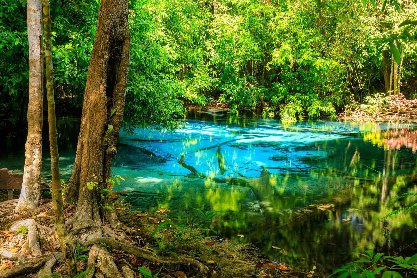 Phuket & Krabi Highlights: 6 Days Thailand Islands Tours