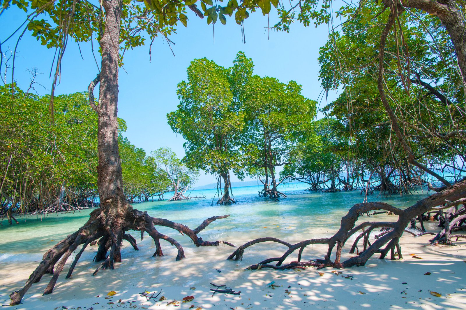 7 Days Andaman Tour Package: Havelock & Neil Island