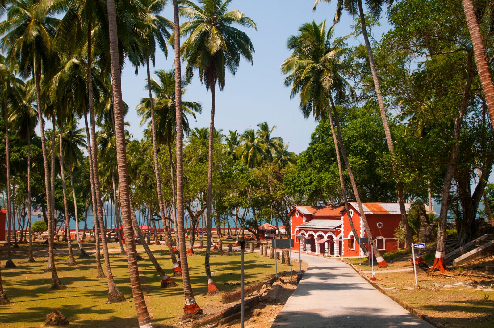 5 Days Andaman Tour Package: Havelock & Ross Island
