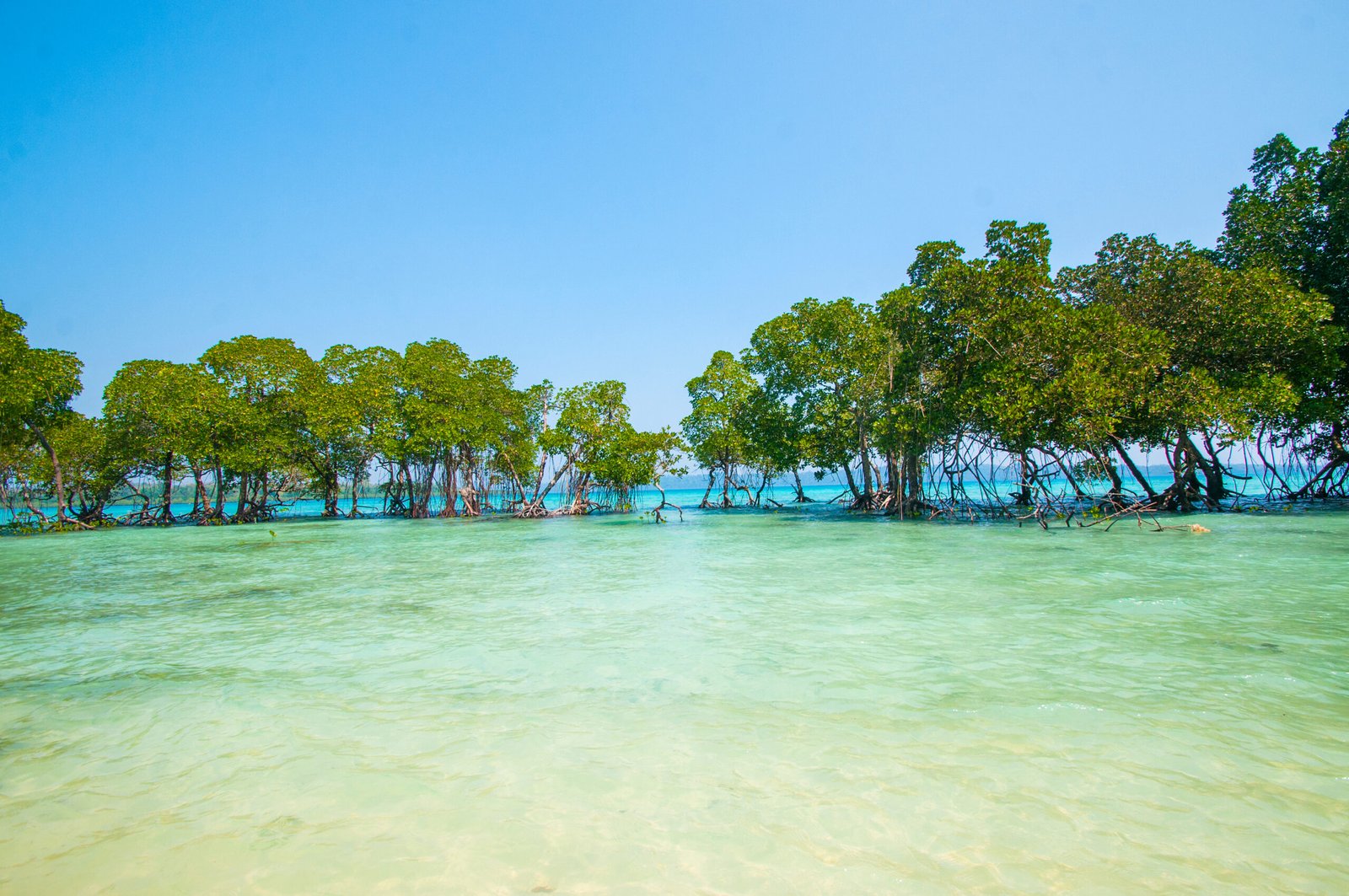 6 Days Andaman Tour Package: Havelock & Neil Island