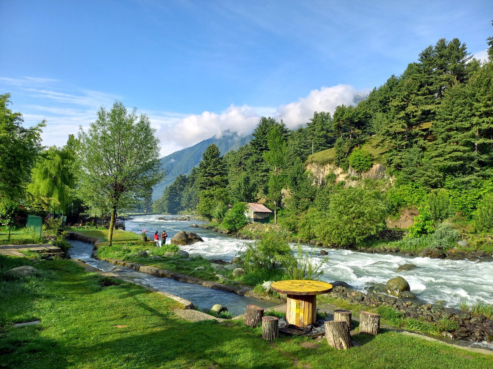 Kashmir 7 Days Tour Package: Srinagar, Gulmarg & Sonamarg