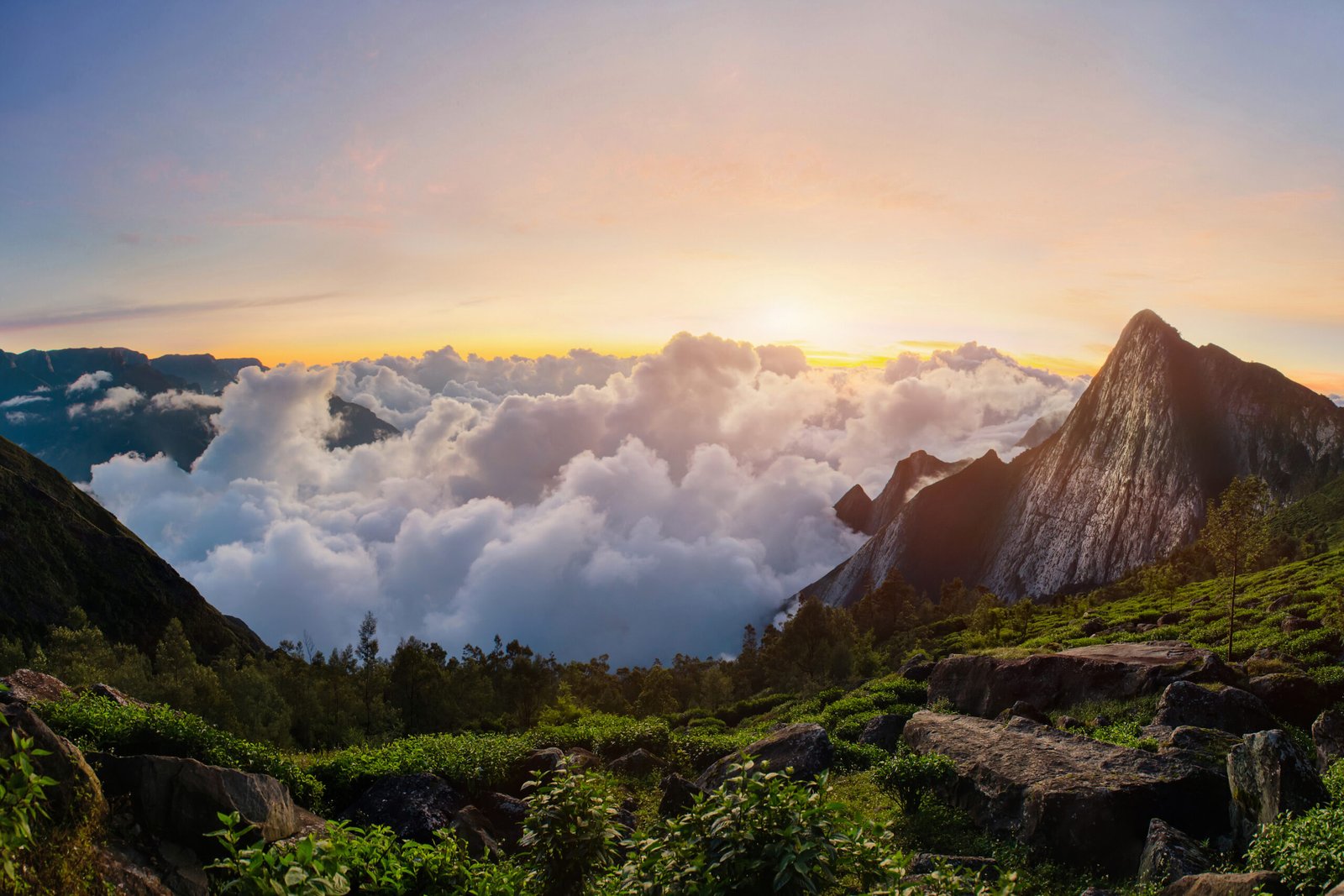 6 Days Kerala Tour: Munnar, Thekkady, Alleppey & Varkala