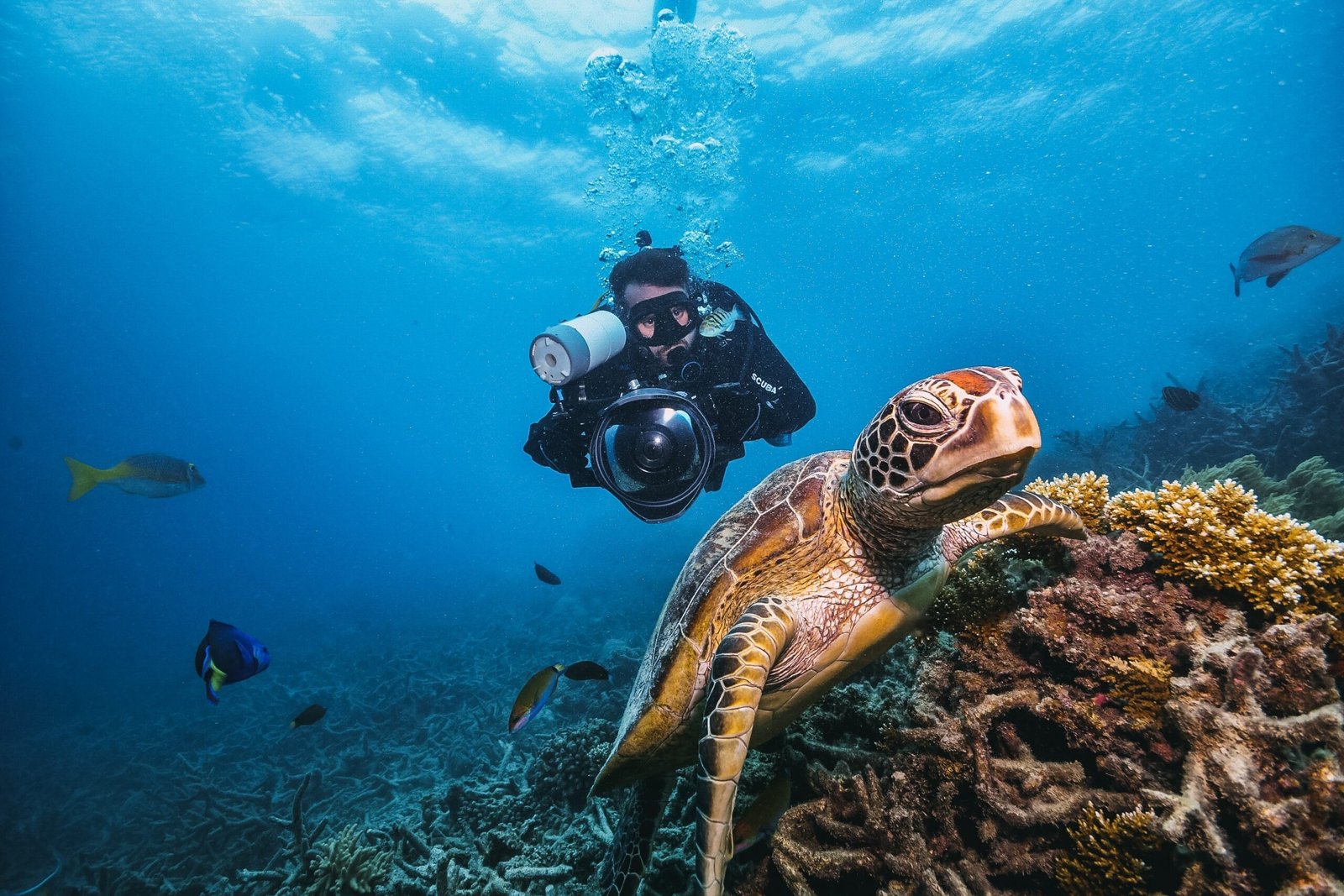 4 Days Lakshadweep Tour Package: Agatti Island with Kalpitty