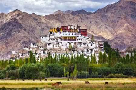6 Days Leh Ladakh Tour Package: Nubra Valley & Pangong Lake