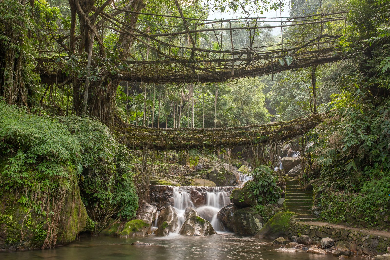 6Days Meghalaya Tour Package with Double Decker Root Bridge